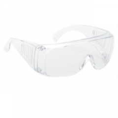 INOX Armour Visitor Safety Glasses